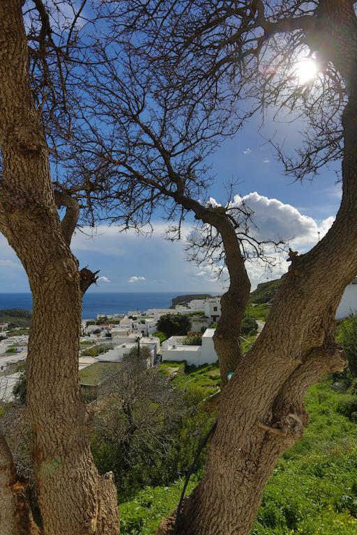Little Lindos Sea View Studios Esterno foto